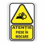 111. PIESE ÎN MIȘCARE.