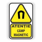 112. CÂMP MAGNETIC.