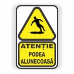 127. PODEA ALUNECOASĂ.