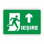 196. IEȘIRE