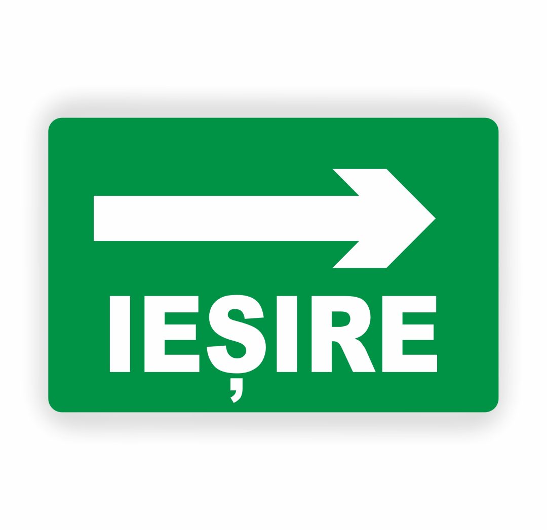 201 201. IEȘIRE - imagine 1