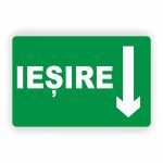202. IEȘIRE