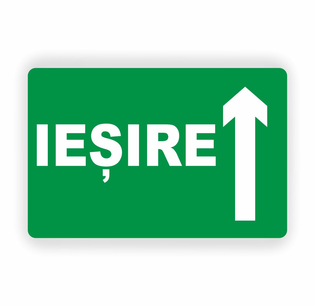 203 203. IEȘIRE - imagine 1