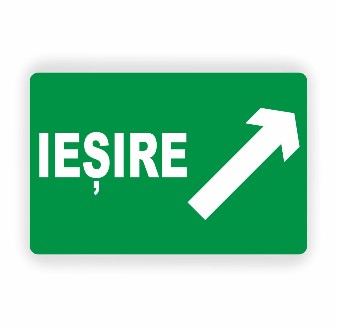 204 204. IEȘIRE - imagine 1