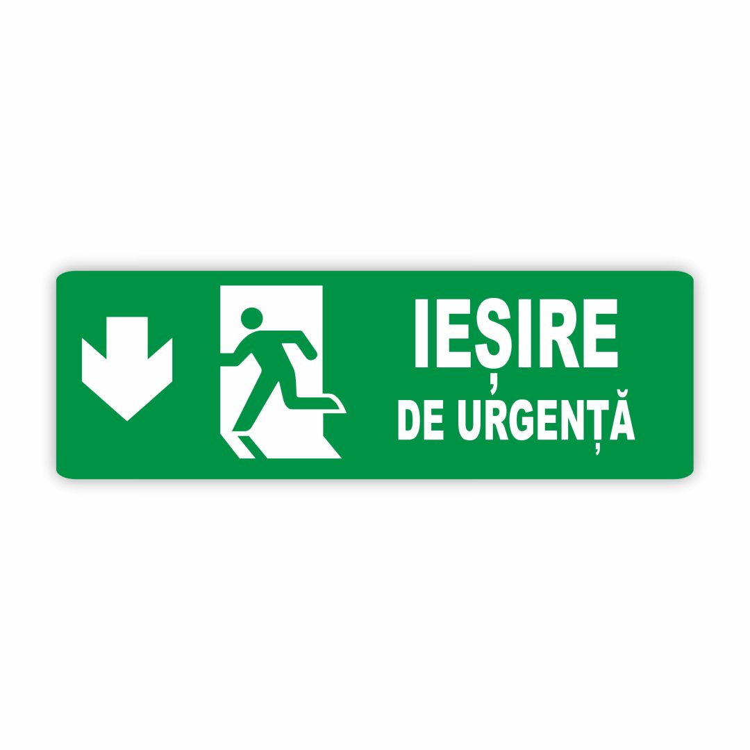 220 220. IEȘIRE - imagine 1