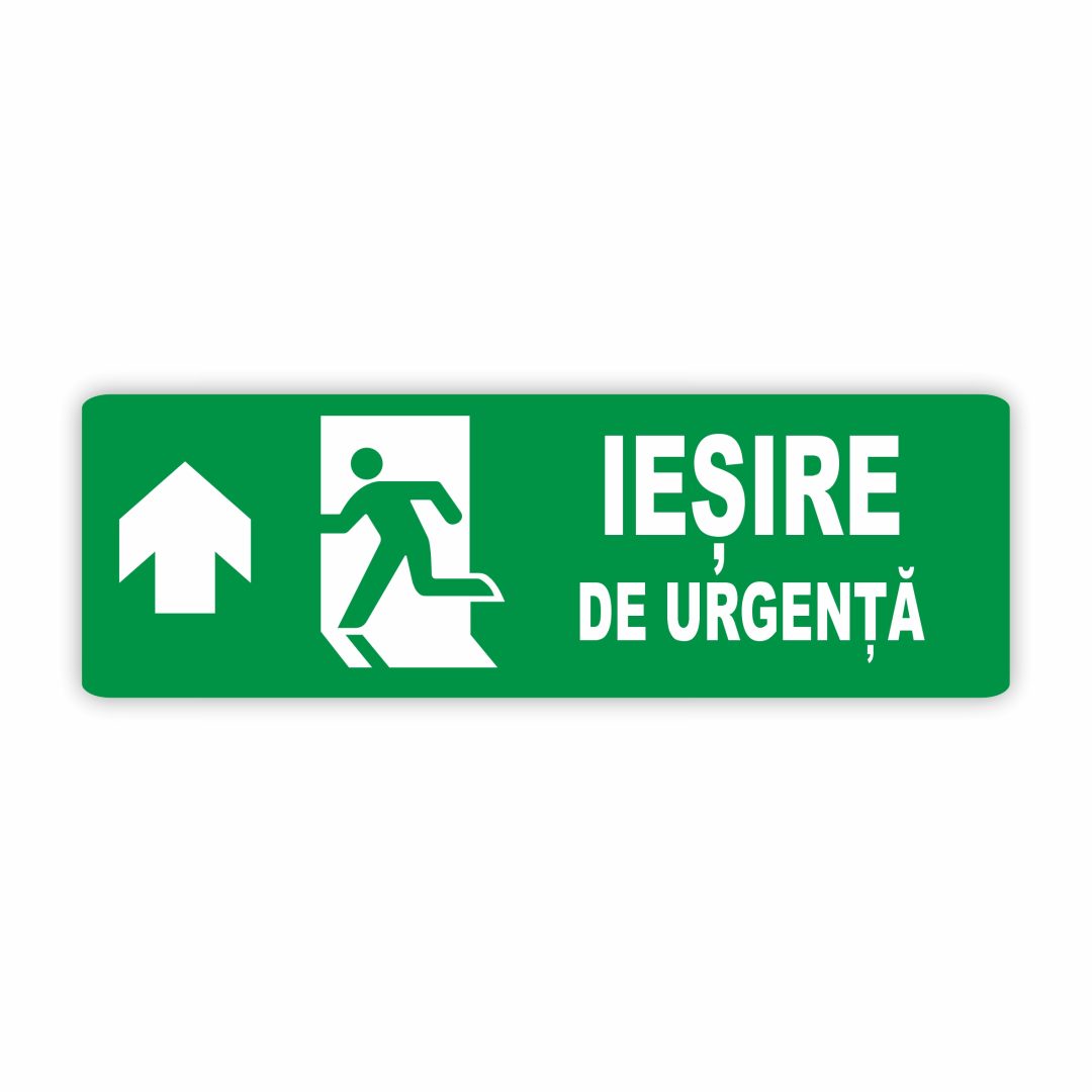 221 221. IEȘIRE - imagine 1