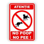 11. NO POOP NO PEE.