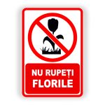 7. NU RUPEȚI FLORILE.