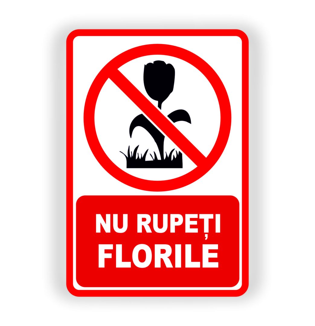 I33 7. NU RUPEȚI FLORILE. - imagine 1