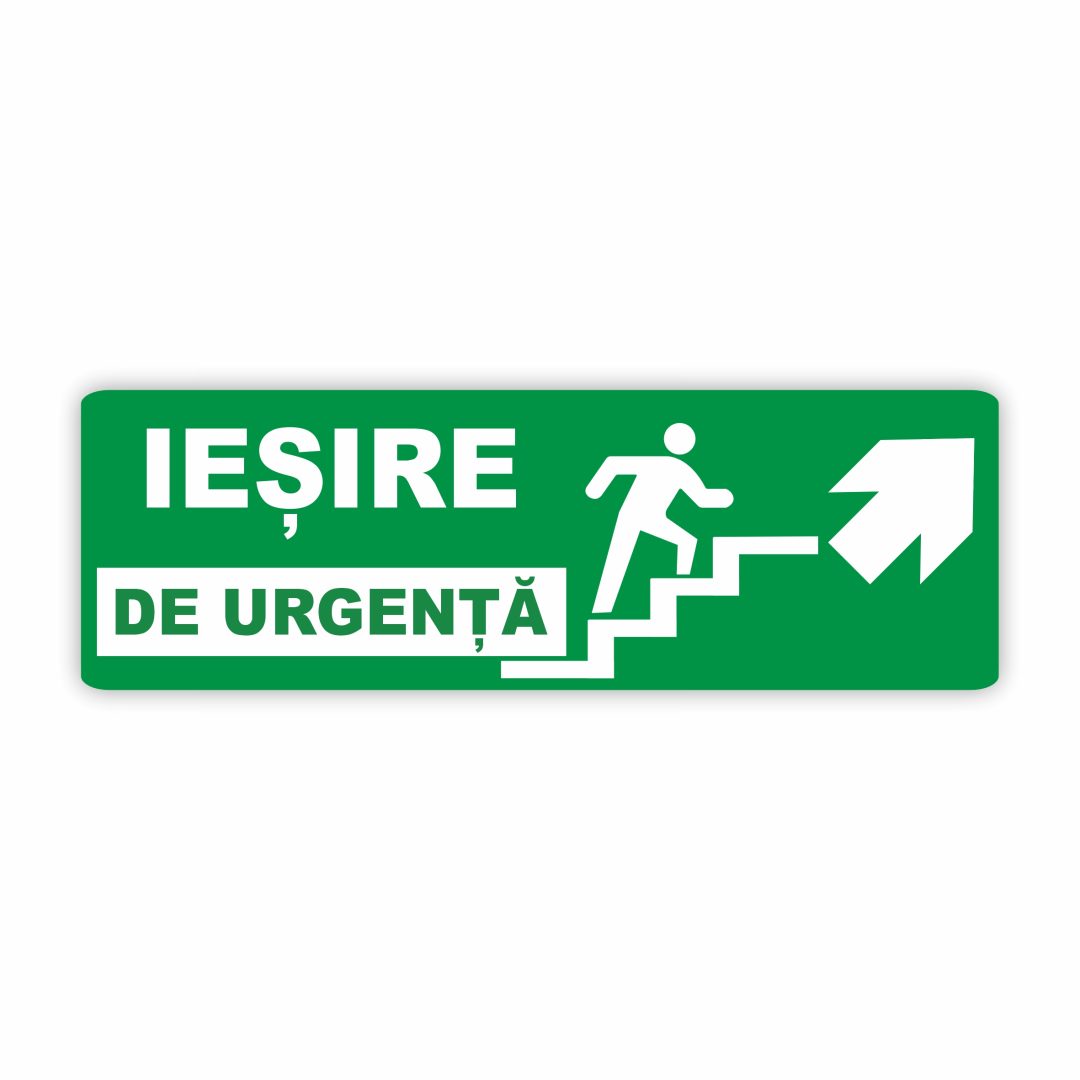 228 228. IEȘIRE - imagine 1