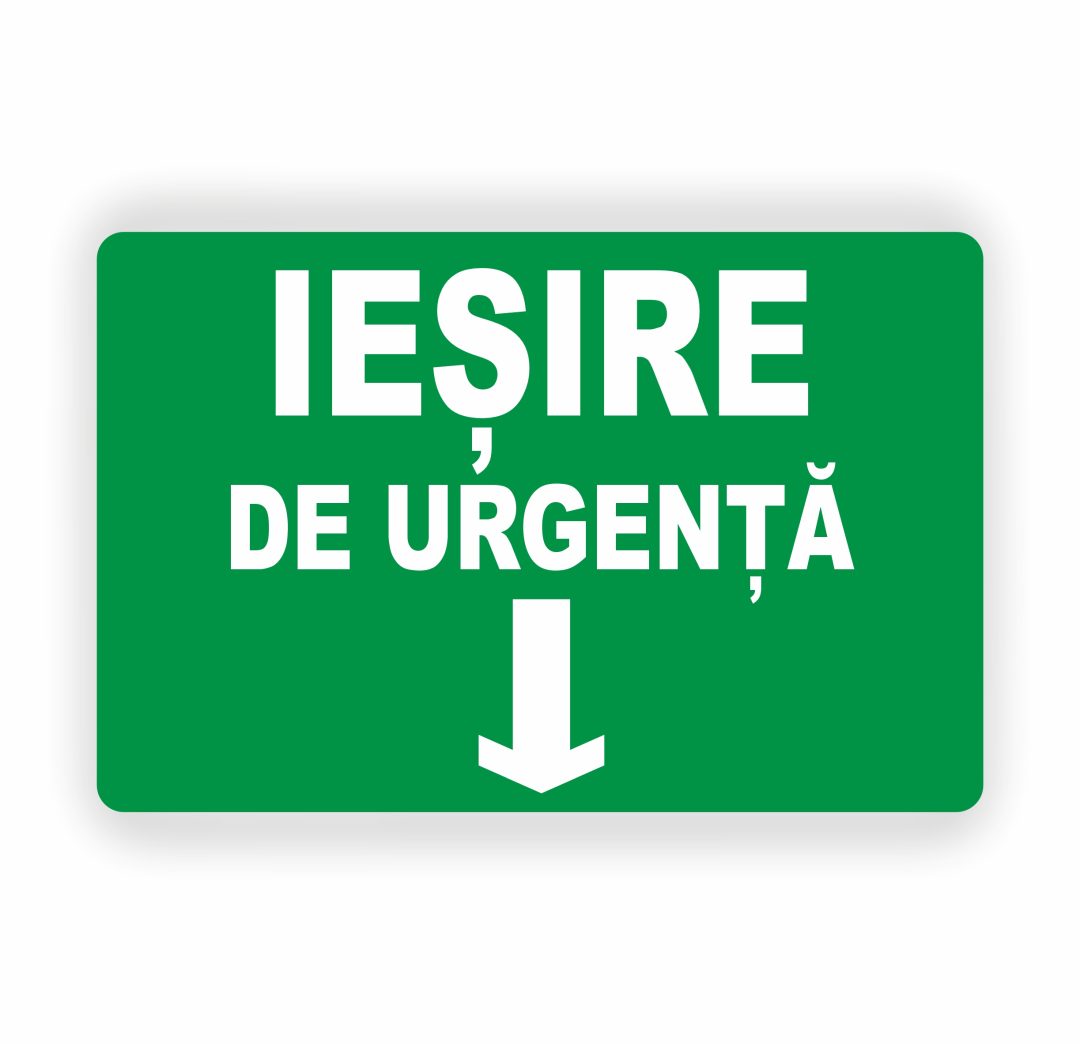 230 230. IEȘIRE - imagine 1
