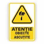 245. OBIECTE ASCUȚITE