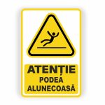280. PODEA ALUNECOASĂ