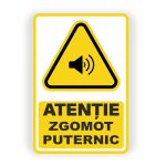 285. ZGOMOT PUTERNIC