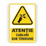 287. CABLURI CU TENSIUNE