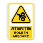 291. ROLE ÎN MIȘCARE