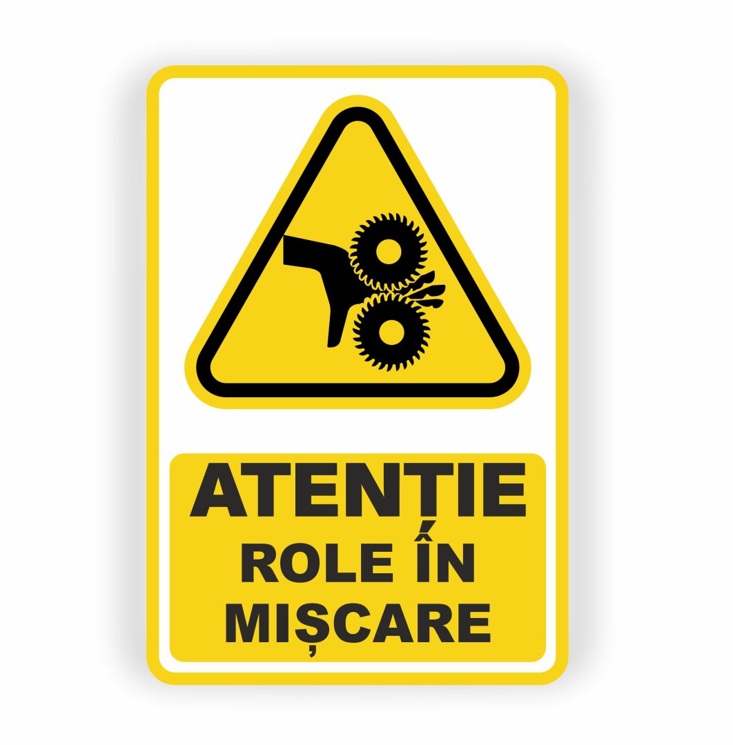 291 291. ROLE ÎN MIȘCARE - imagine 1