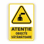 293. OBIECTE VĂTĂMĂTOARE