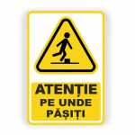 306. ATENȚIE PE UNDE PĂȘIȚI