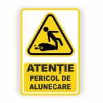 313. PERICOL DE ALUNECARE
