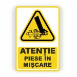 315. PIESE ÎN MIȘCARE