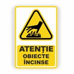 316. OBIECTE ÎNCINSE