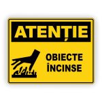 572. OBIECTE INCINSE