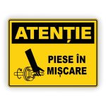 573. PIESE ÎN MIȘCARE