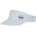 Cozoroc electoral - imagine 2