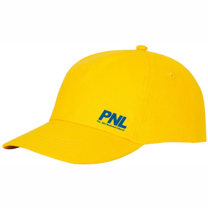 SAPCA PNL