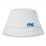 Ciupilică electorală - imagine 2