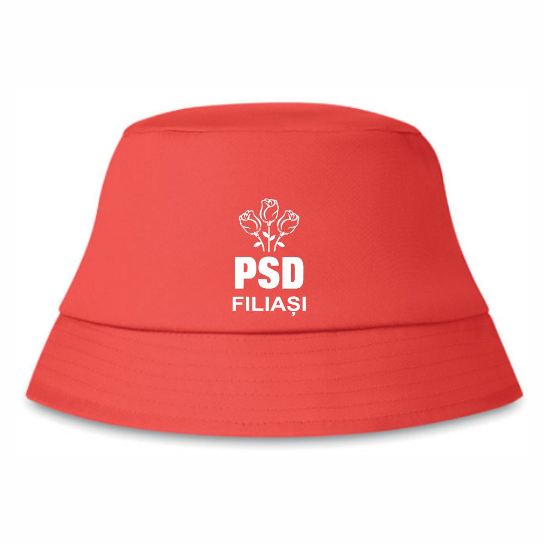 SEPCUTA PSD Ciupilică electorală - imagine 1