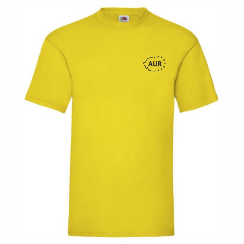 TRICOU AUR