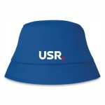 Ciupilică electorală - imagine 3